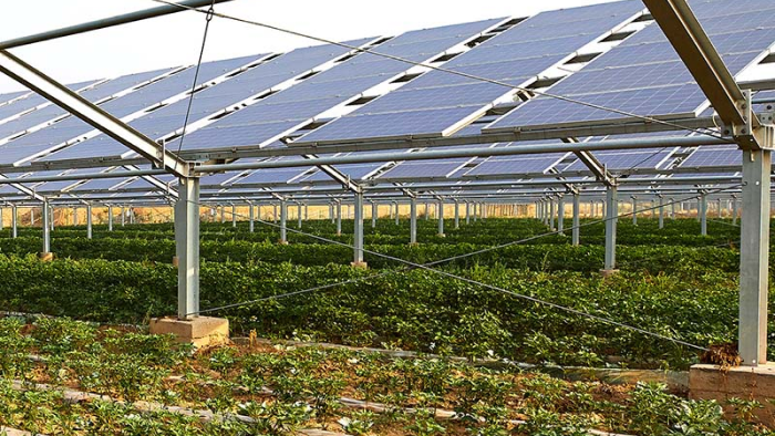 Agri-PV project in Catania
