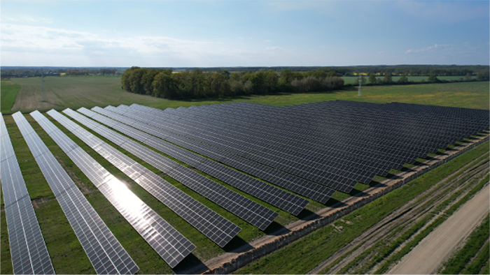 The Chotków Project